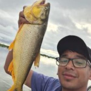 Foto de perfil de Carlos